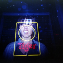 Double Exposure of a Tiger and a Woman